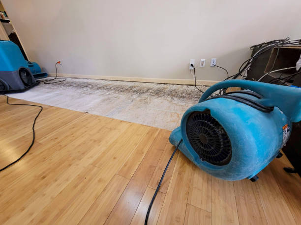 Professional Sewage Cleanup technician working in Ivanhoe, CA
